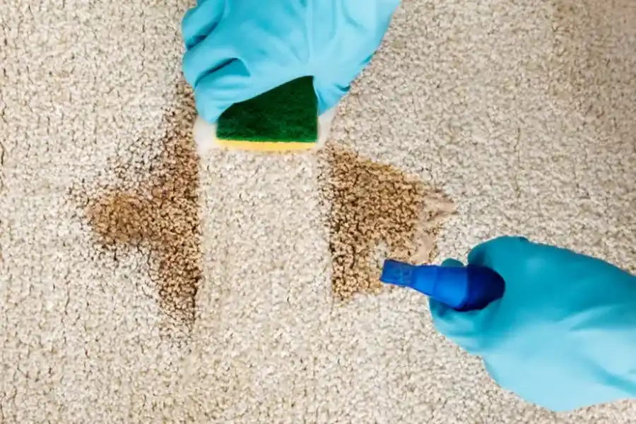 The Impact Of Carpet Cleaning On Indoor Health And Hygiene in Newark, NJ The Impact Of Carpet Cleaning On Indoor Health And Hygiene in Newark, NJ
