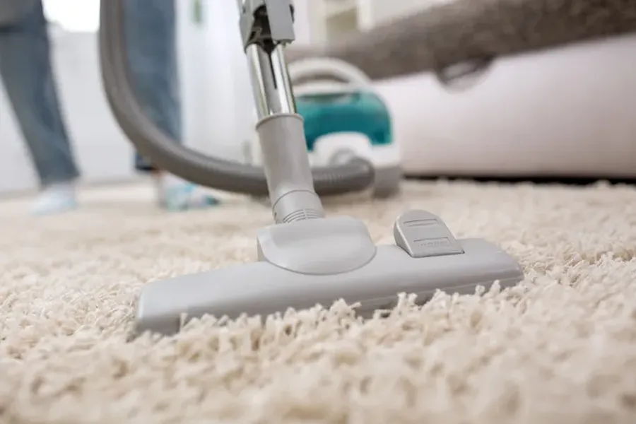 What To Expect From A Professional Carpet Cleaning Service Newark, NJ What To Expect From A Professional Carpet Cleaning Service Newark, NJ