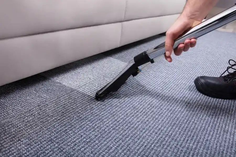 What To Expect From A Professional Carpet Cleaning Service in Newark, NJ What To Expect From A Professional Carpet Cleaning Service in Newark, NJ